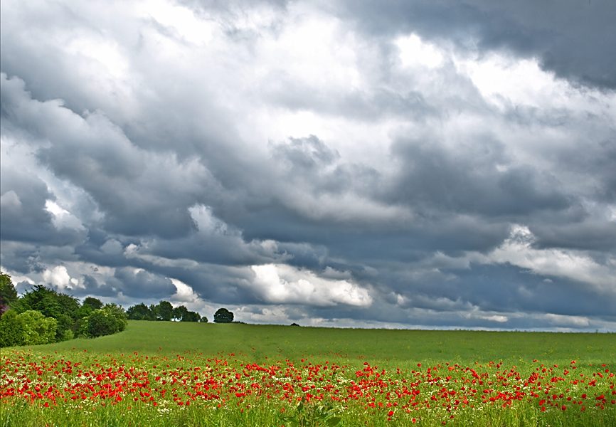 After The Rain