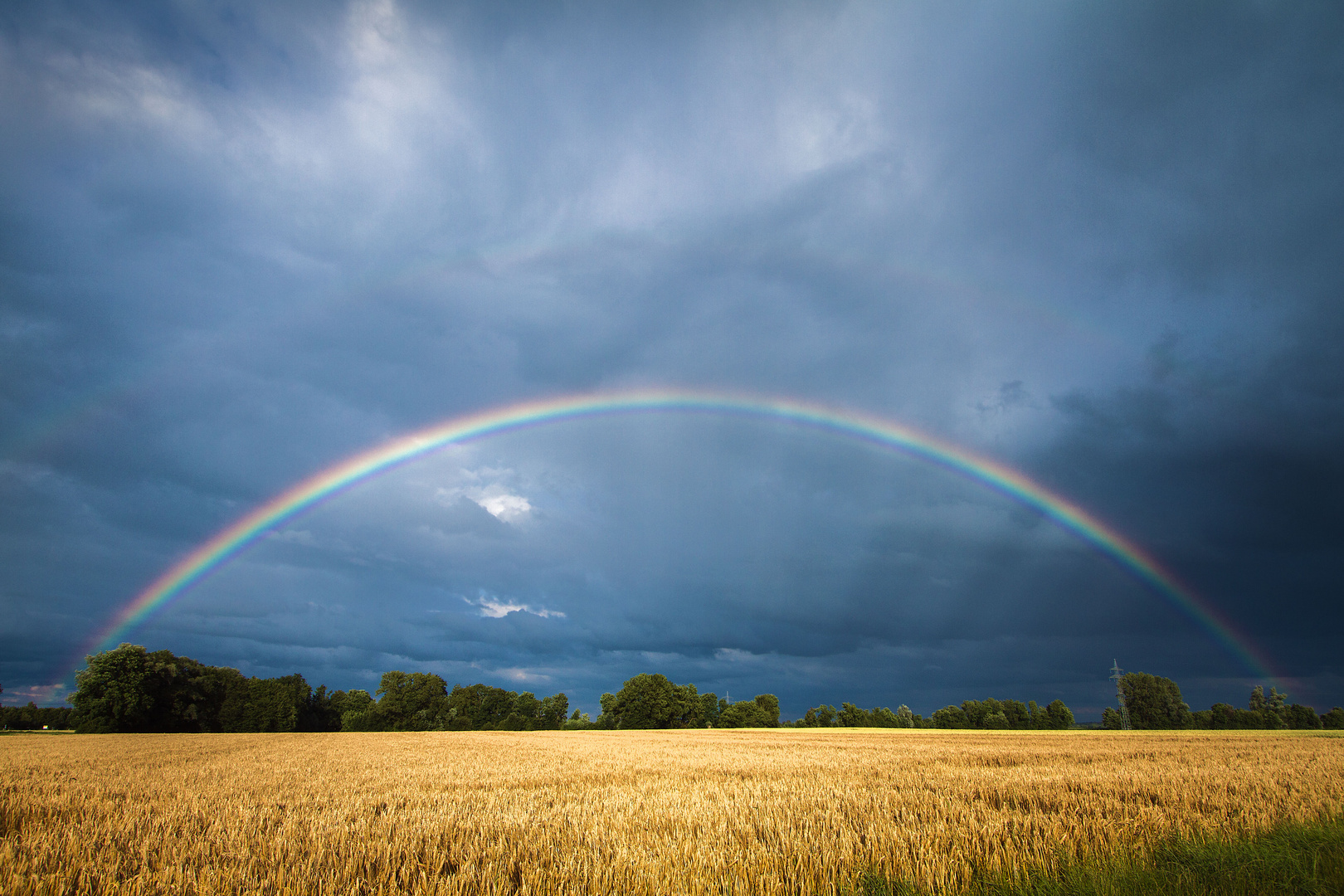 After the rain