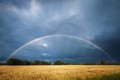 After the rain von Wilhelm Linse 