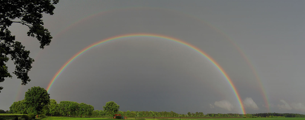 after the rain comes sun ...