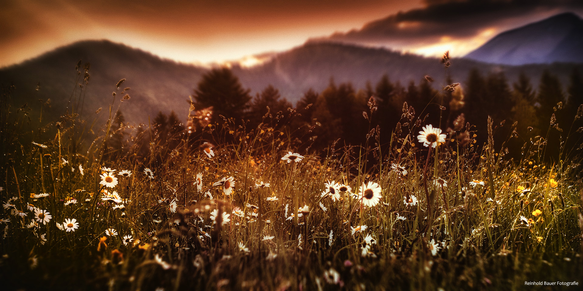 After The Rain Foto & Bild landschaften, outdoor, landscape Bilder