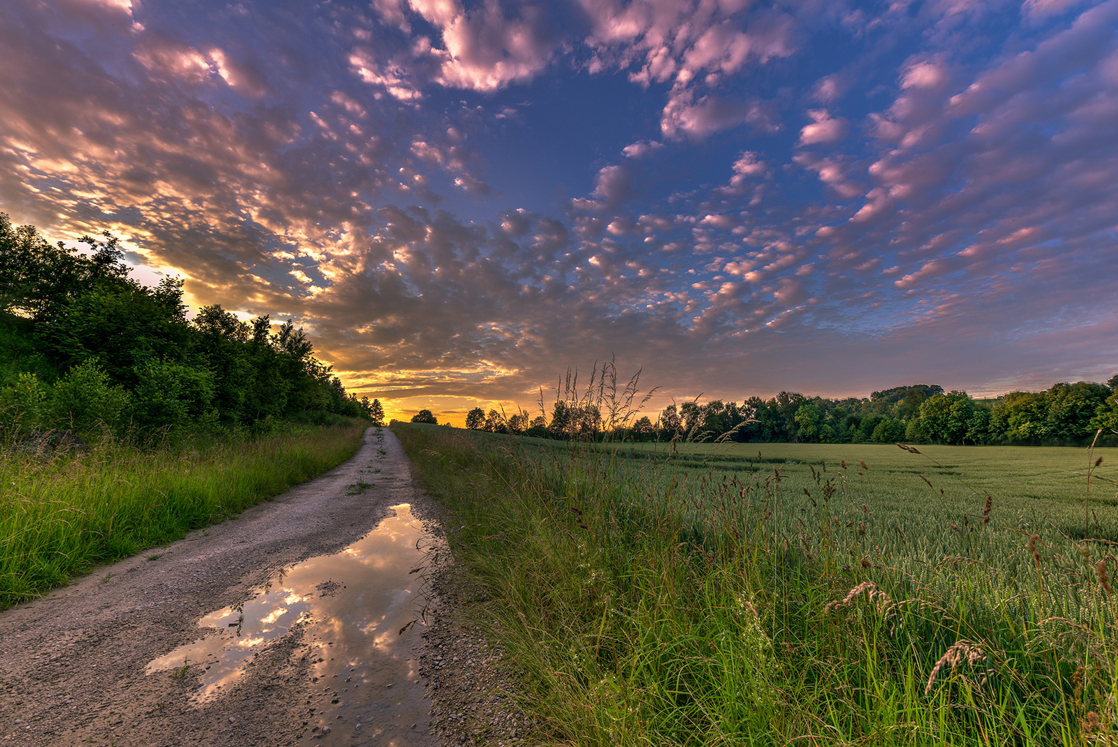 after the rain