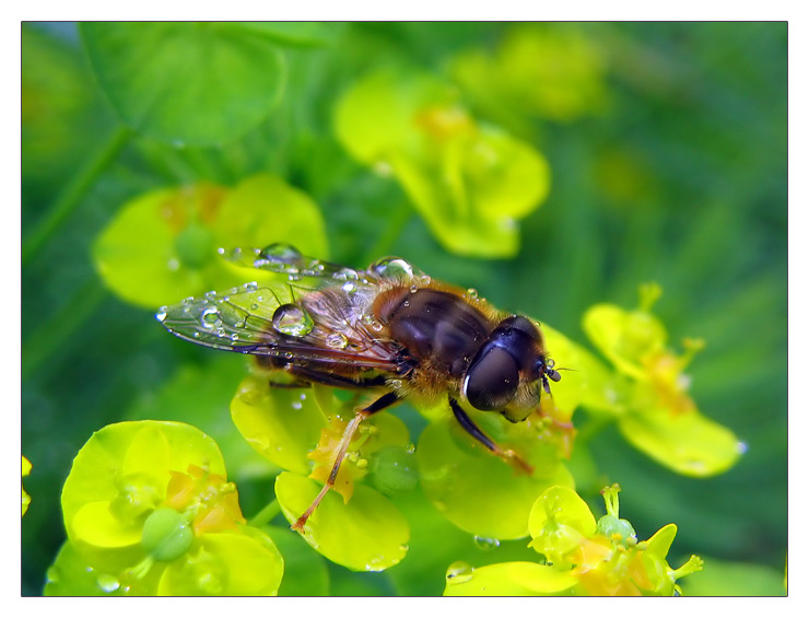 After the Rain has gone