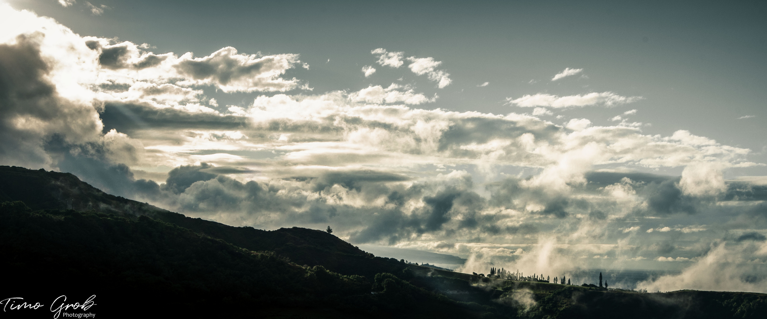 After the Rain (Maui)