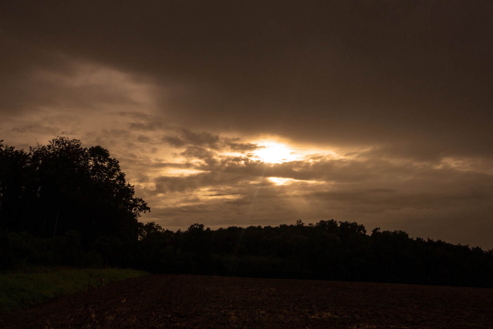 After The Rainshower