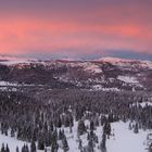 After the snow storm, Folgaria, Trentino