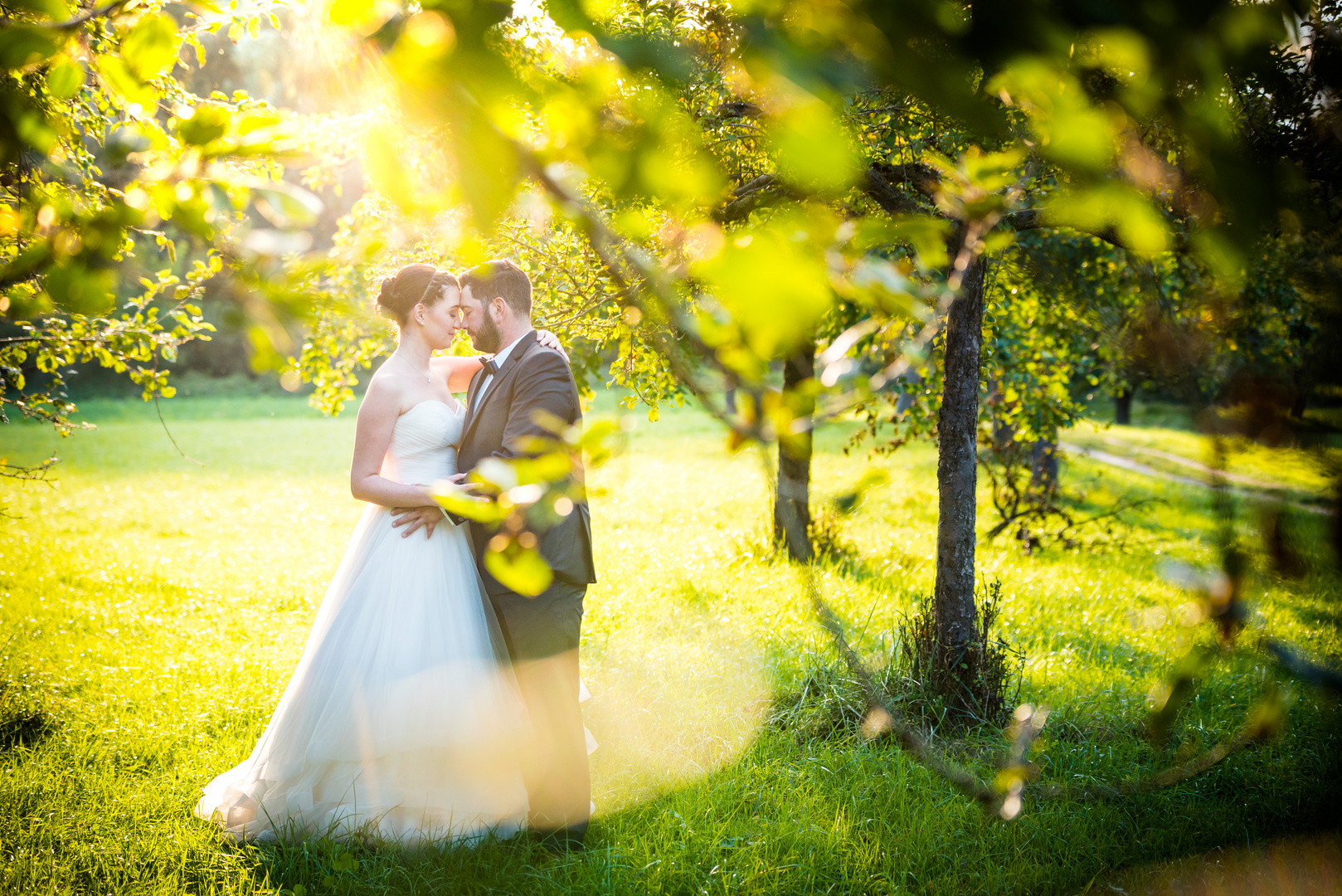 After Wedding Shooting zwischen Obstbäumen