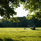 after work picnic