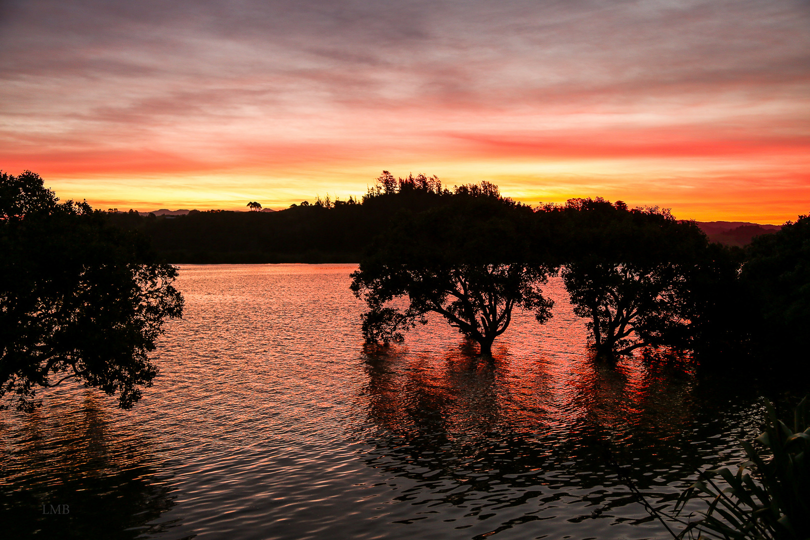 Afterglow in Whitianga