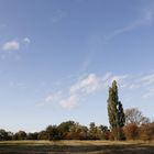 Afternoon atmosphere in the floodplain "Muldeaue"  