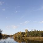 Afternoon atmosphere in the floodplain "Muldeaue"