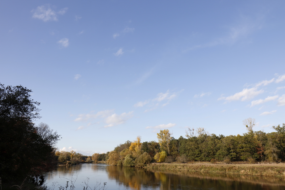 Afternoon atmosphere in the floodplain "Muldeaue"