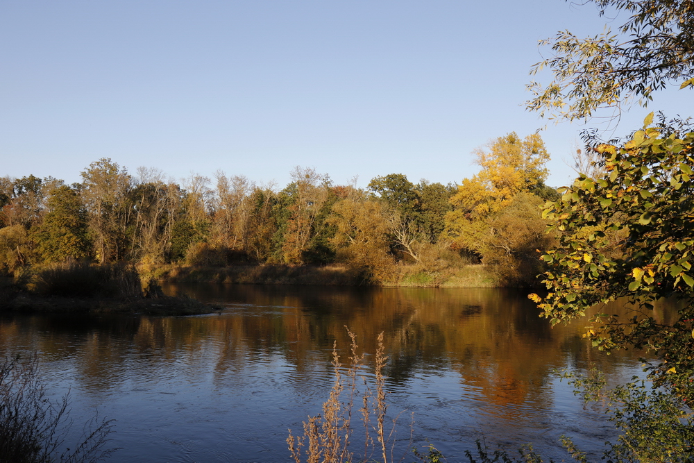 Afternoon atmosphere in the floodplain "Muldeaue" 