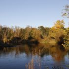 Afternoon atmosphere in the floodplain "Muldeaue" 