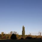 Afternoon atmosphere in the floodplain "Muldeaue"