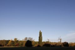 Afternoon atmosphere in the floodplain "Muldeaue"