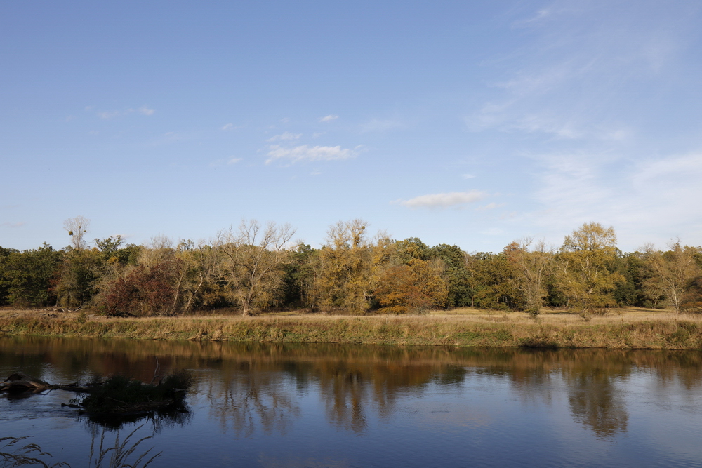 Afternoon atmosphere in the floodplain "Muldeaue"