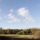 Afternoon atmosphere in the floodplain "Muldeaue" 