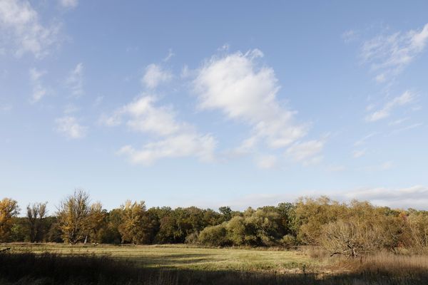 Afternoon atmosphere in the floodplain "Muldeaue"