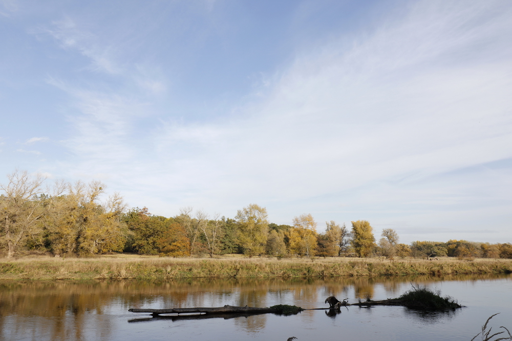 Afternoon atmosphere in the floodplain "Muldeaue"