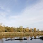 Afternoon atmosphere in the floodplain "Muldeaue"