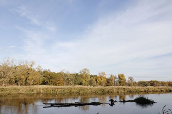 Afternoon atmosphere in the floodplain "Muldeaue"