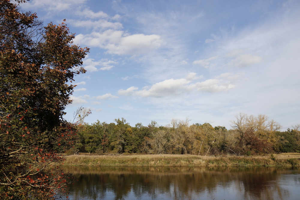 Afternoon atmosphere in the floodplain "Muldeaue"