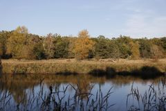 Afternoon atmosphere in the floodplain "Muldeaue" 