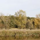 Afternoon atmosphere in the floodplain "Muldeaue" 