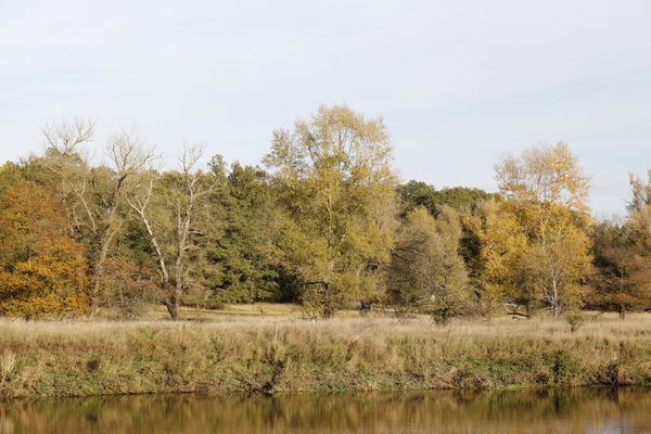 Afternoon atmosphere in the floodplain "Muldeaue"