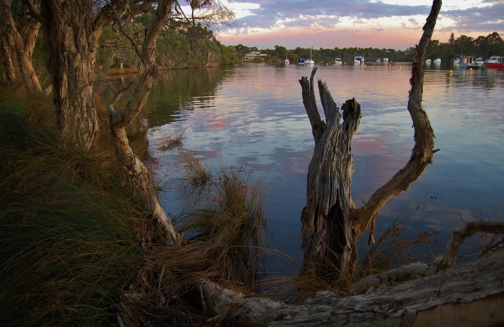 Afternoon by the Canning River