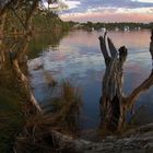 Afternoon by the Canning River