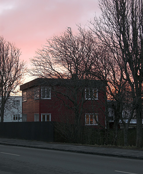 Afternoon in Iceland