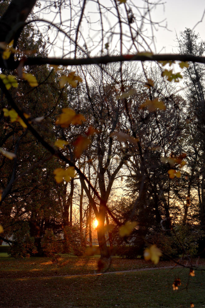 Afternoon in "Luisium" in Dessau - image 3