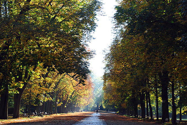 Afternoon in the Park.