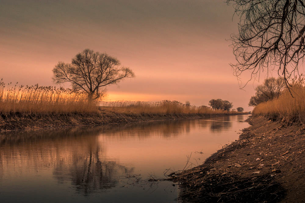 Afternoon in the river