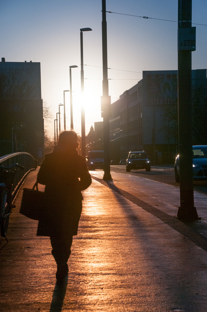 afternoon light