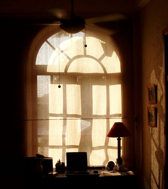 Afternoon light