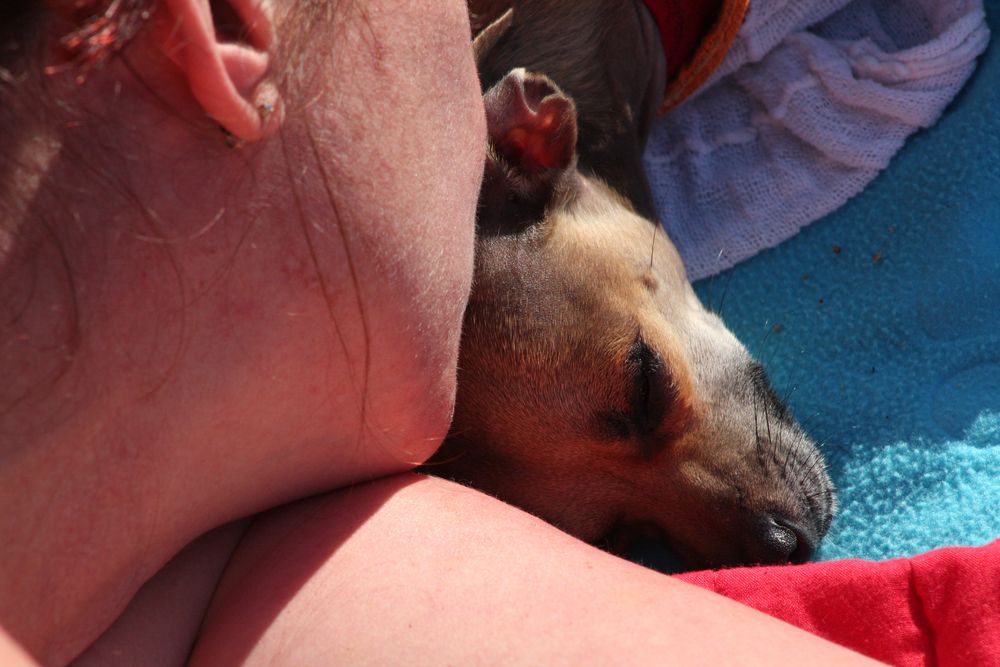 "AFTERNOON NAP UNDER THE SKY"