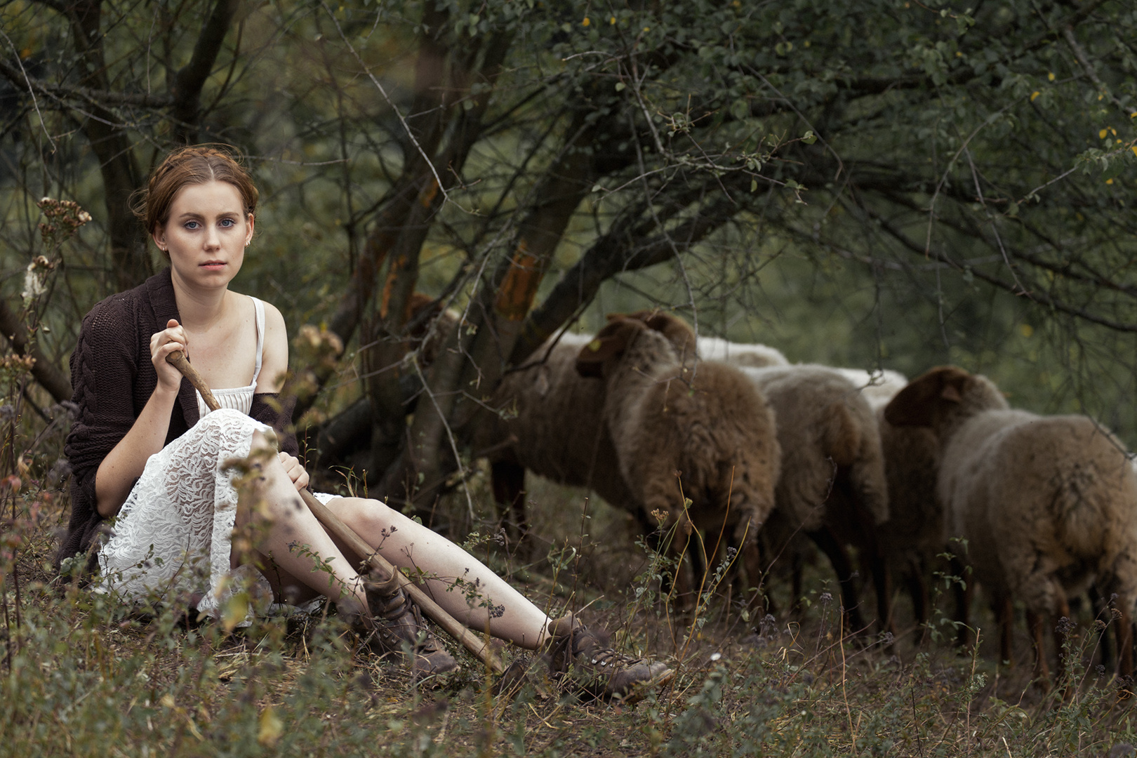 Afternoon of a shepherdess