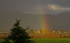 afternoon rainbow