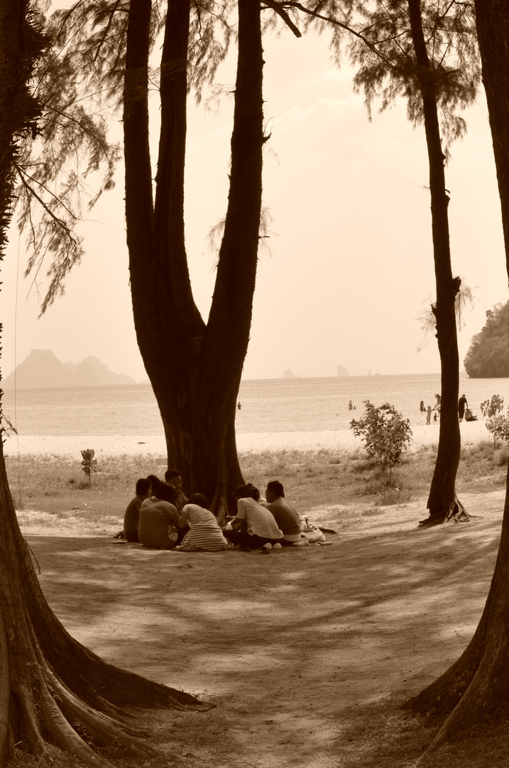 Afternoon relaxation in the shade