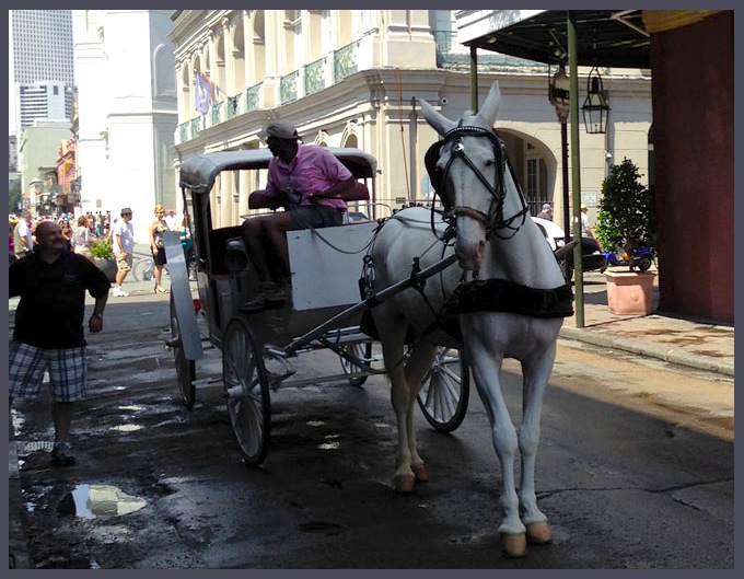 Afternoon Talk | New Orleans