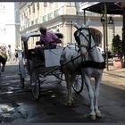 Afternoon Talk | New Orleans