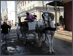 Afternoon Talk | New Orleans