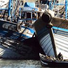 Agadir, im Fischereihafen