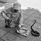 Agadir, Marokko / Street # 174