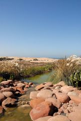 Agadir - The Dune