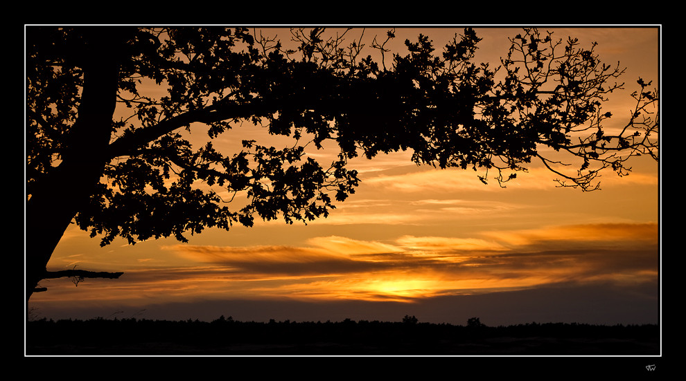 Against the sky II