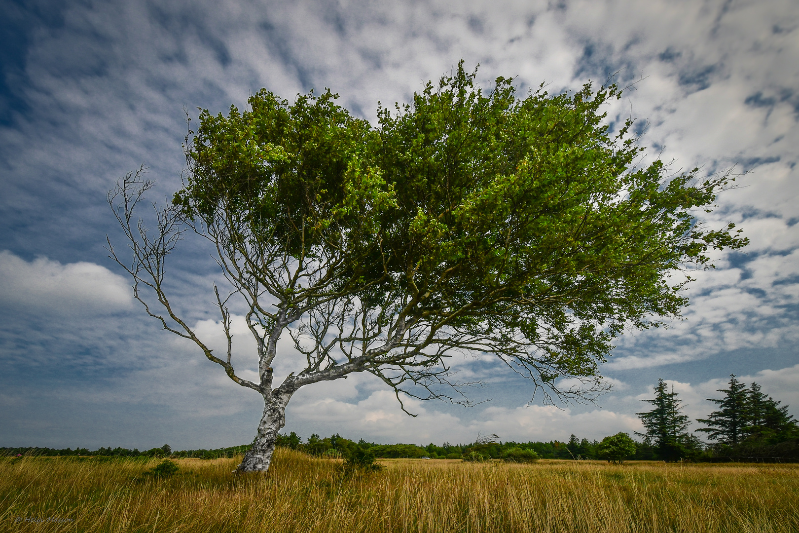 ..against the wind.. 